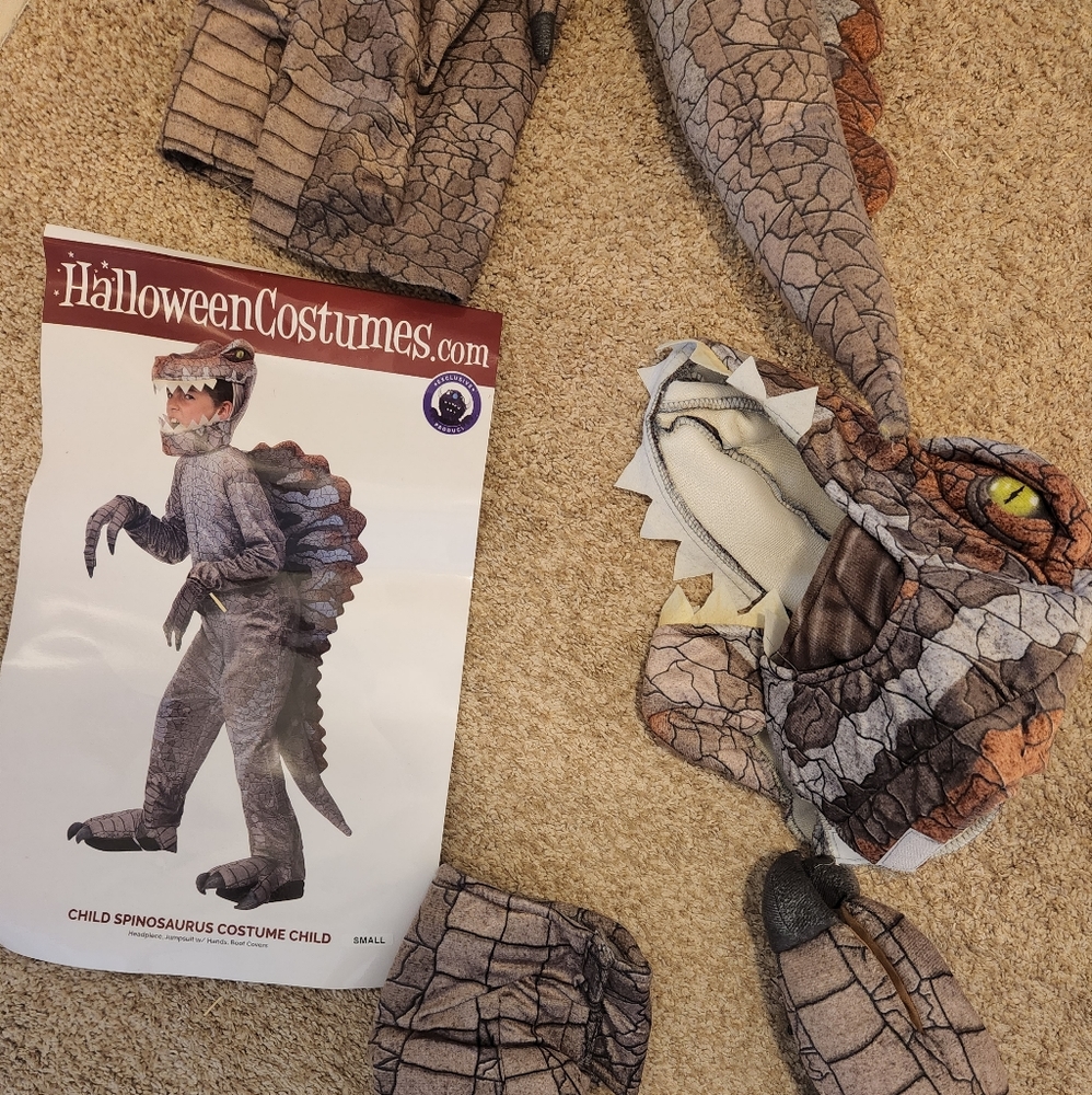 Boys dinosaur costume